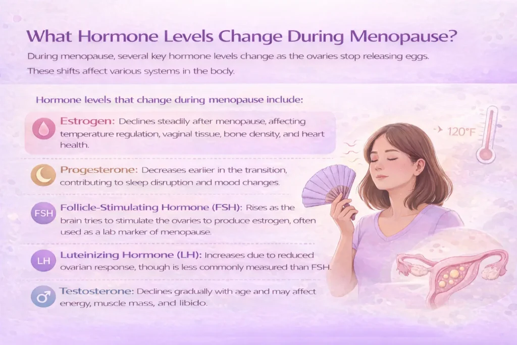 what hormone levels changed during menopause